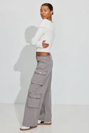 Titanium Grey Garage Cameron Low Rise Women Cargo Pants | A-5943612